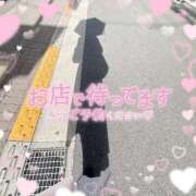 ヒメ日記 2025/07/18 07:12 投稿 なお 白いぽっちゃりさん