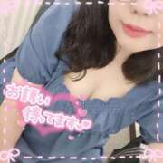 ヒメ日記 2025/07/19 10:34 投稿 なお 白いぽっちゃりさん