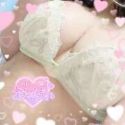 ヒメ日記 2025/07/27 13:42 投稿 なお 白いぽっちゃりさん