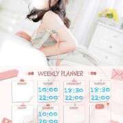 ヒメ日記 2025/07/28 07:12 投稿 なお 白いぽっちゃりさん