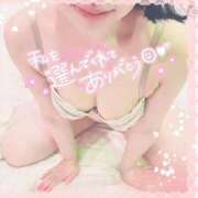 ヒメ日記 2025/07/29 12:22 投稿 なお 白いぽっちゃりさん