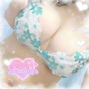 ヒメ日記 2025/08/05 07:12 投稿 なお 白いぽっちゃりさん