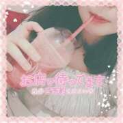 ヒメ日記 2025/08/10 16:41 投稿 なお 白いぽっちゃりさん