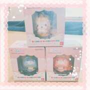 ヒメ日記 2025/08/24 15:22 投稿 なお 白いぽっちゃりさん