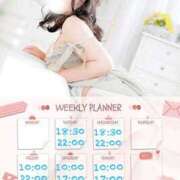 ヒメ日記 2025/08/25 15:02 投稿 なお 白いぽっちゃりさん