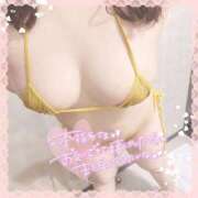 ヒメ日記 2025/08/26 12:22 投稿 なお 白いぽっちゃりさん