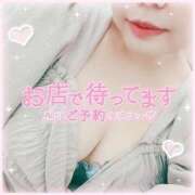 ヒメ日記 2025/08/29 10:22 投稿 なお 白いぽっちゃりさん