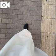 ヒメ日記 2025/09/10 08:02 投稿 なお 白いぽっちゃりさん