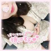 ヒメ日記 2025/09/20 10:22 投稿 なお 白いぽっちゃりさん