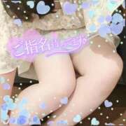 ヒメ日記 2025/09/20 16:18 投稿 なお 白いぽっちゃりさん