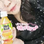 ヒメ日記 2025/09/23 10:22 投稿 なお 白いぽっちゃりさん