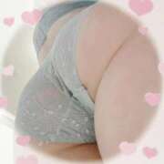 ヒメ日記 2025/10/16 12:28 投稿 なお 白いぽっちゃりさん