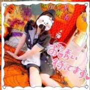 ヒメ日記 2025/10/27 12:47 投稿 なお 白いぽっちゃりさん