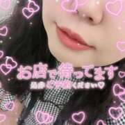 ヒメ日記 2025/11/01 17:42 投稿 なお 白いぽっちゃりさん