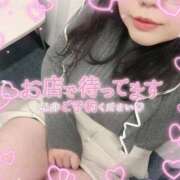 ヒメ日記 2025/11/02 10:27 投稿 なお 白いぽっちゃりさん