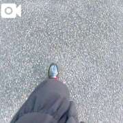 ヒメ日記 2025/11/03 09:25 投稿 なお 白いぽっちゃりさん