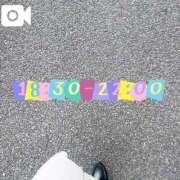 ヒメ日記 2025/11/05 07:52 投稿 なお 白いぽっちゃりさん