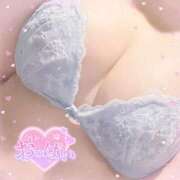 ヒメ日記 2025/11/09 09:42 投稿 なお 白いぽっちゃりさん