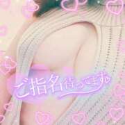 ヒメ日記 2025/11/09 13:52 投稿 なお 白いぽっちゃりさん