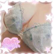 ヒメ日記 2025/11/18 12:22 投稿 なお 白いぽっちゃりさん