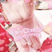 ヒメ日記 2025/11/23 14:32 投稿 なお 白いぽっちゃりさん