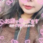 ヒメ日記 2025/11/28 08:53 投稿 なお 白いぽっちゃりさん