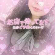 ヒメ日記 2025/11/29 10:25 投稿 なお 白いぽっちゃりさん