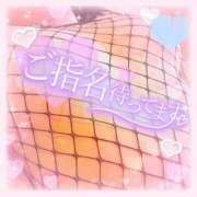 ヒメ日記 2025/11/30 09:22 投稿 なお 白いぽっちゃりさん