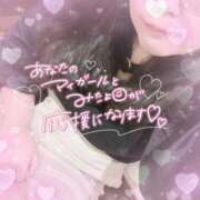 ヒメ日記 2025/11/30 14:32 投稿 なお 白いぽっちゃりさん