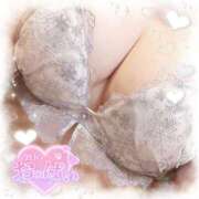 ヒメ日記 2025/12/02 18:42 投稿 なお 白いぽっちゃりさん