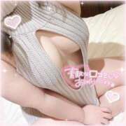 ヒメ日記 2025/12/11 12:42 投稿 なお 白いぽっちゃりさん