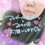 ヒメ日記 2025/12/15 20:12 投稿 なお 白いぽっちゃりさん