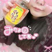 ヒメ日記 2025/12/27 10:30 投稿 なお 白いぽっちゃりさん