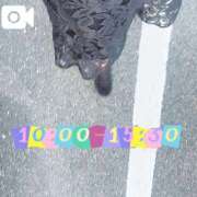 ヒメ日記 2025/12/30 09:42 投稿 なお 白いぽっちゃりさん