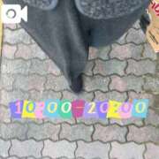 ヒメ日記 2025/12/31 09:32 投稿 なお 白いぽっちゃりさん