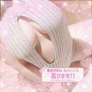 ヒメ日記 2025/12/31 16:12 投稿 なお 白いぽっちゃりさん