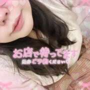 ヒメ日記 2026/01/03 10:22 投稿 なお 白いぽっちゃりさん