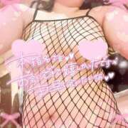 ヒメ日記 2026/01/09 12:29 投稿 なお 白いぽっちゃりさん