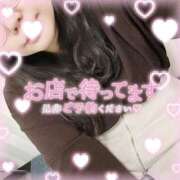 ヒメ日記 2026/01/12 10:52 投稿 なお 白いぽっちゃりさん