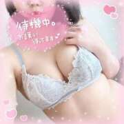 ヒメ日記 2026/01/24 15:29 投稿 なお 白いぽっちゃりさん