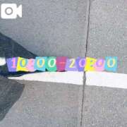 ヒメ日記 2026/01/25 09:22 投稿 なお 白いぽっちゃりさん