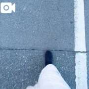 ヒメ日記 2026/01/26 07:12 投稿 なお 白いぽっちゃりさん