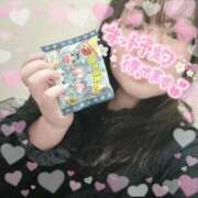 ヒメ日記 2026/01/29 18:48 投稿 なお 白いぽっちゃりさん