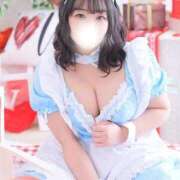 ヒメ日記 2026/02/09 07:12 投稿 なお 白いぽっちゃりさん