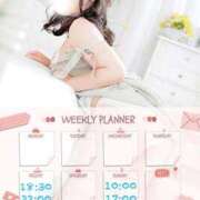 ヒメ日記 2026/02/12 19:42 投稿 なお 白いぽっちゃりさん