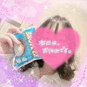 ヒメ日記 2026/02/14 14:32 投稿 なお 白いぽっちゃりさん