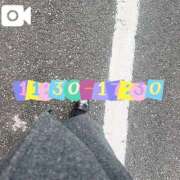 ヒメ日記 2026/02/17 10:42 投稿 なお 白いぽっちゃりさん