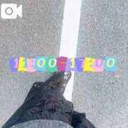 ヒメ日記 2026/02/21 10:22 投稿 なお 白いぽっちゃりさん