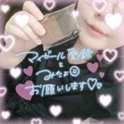 ヒメ日記 2026/02/21 13:32 投稿 なお 白いぽっちゃりさん