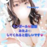 ヒメ日記 2026/03/01 10:02 投稿 なお 白いぽっちゃりさん